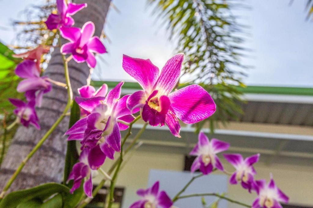 Oyo 450 Rawai Studios Resort Dış mekan fotoğraf